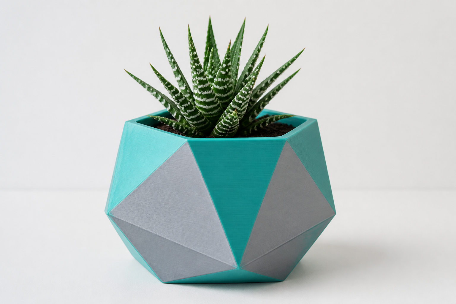 Vaso geométrico 3D com suculenta